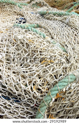 Detail view of a typical fishing line