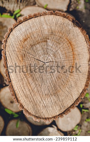 Background of truncated circle tree