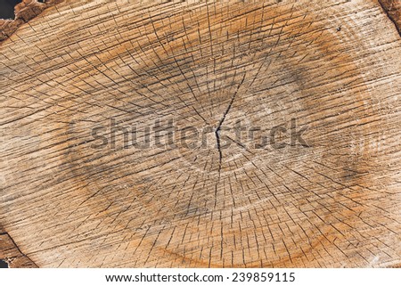 Background of truncated circle tree