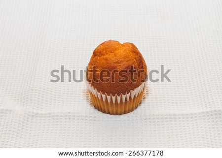 cupcake on a white background