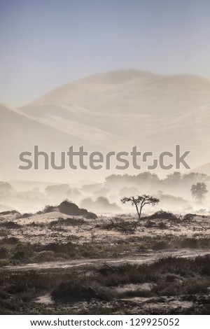 Sand storm in Sossusvlei