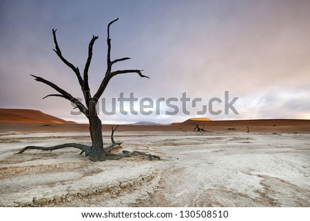 Landscape from Sossusvlei, Namibia