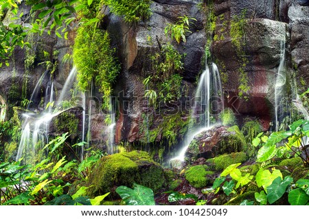 Several small waterfalls with greenery and moss covered rocks at Trois Bassin on Reunion Island.