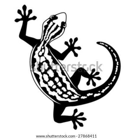 stock vector Black and white curved gecko