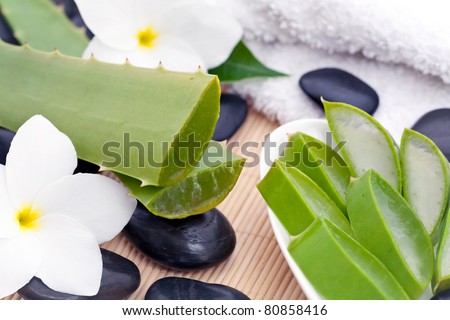 A zen still life of Aloe Vera plants with sliced Aloe Vera plant, white Frangipani flowers and black zen stones