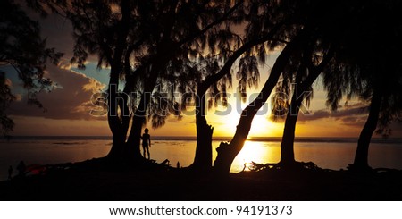 Coastal trees in silhouette as the golden sun sets over the sea.