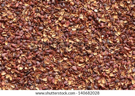 Texture of pine nut shell, used as a soil fertilizer, background