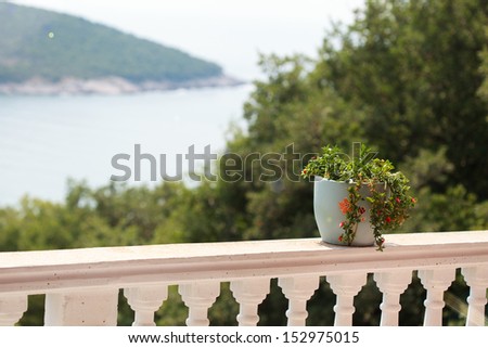 a pot of flowers on the balcony balustrade with a beautiful view of the sea in a sunny day