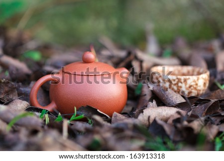 Traditional chinese tea ceremony accessories (tea pot and tea cup) amongst autumn leaves, selective focus on the tea pot