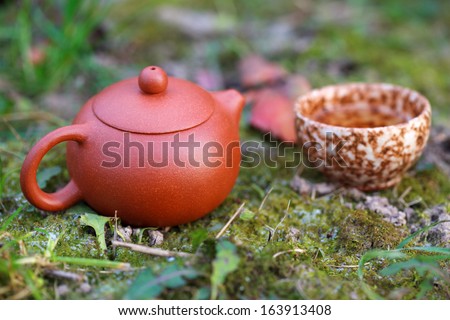 Traditional chinese tea ceremony accessories (tea pot and tea cup) on the green moss, selective focus on the tea pot