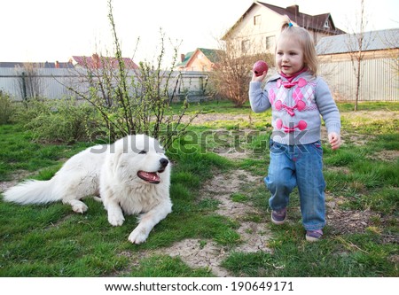 Little cute toddler girl playing with her big white shepherd dog with small ball