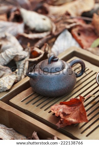 Traditional chinese tea ceremony accessories (tea pot) on the tea table amongst autumn leaves, selective focus. Toned