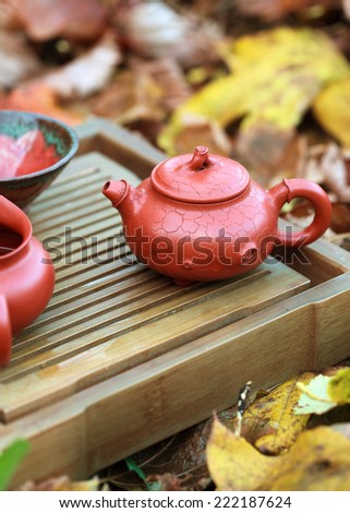 Traditional chinese tea ceremony accessories (tea pot and tea cup) on the tea table amongst autumn leaves, selective focus on the teapot