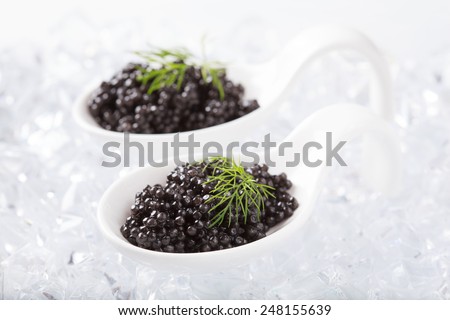 White spoons with natural sturgeon caviar and dill on ice cubes. Selective focus and space for text