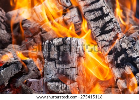 Wood fire with ash, Closeup