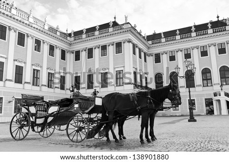 Chariot with horse schonbrunn