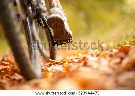 foot on pedal of bicycle in park, active summer