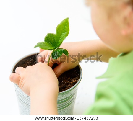 Little Child Planting A New Plant Into Earth, Metaphor For Business Growth And New Ideas