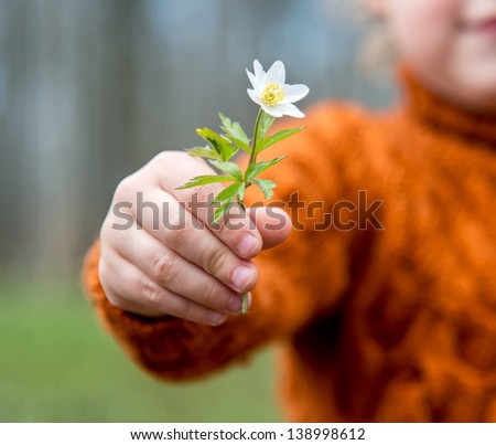 Little Boy Giving To You An Early Flower Blossom Of Snowdrop In A Park Or Forest, Metaphor For Hand Over Or Give Away
