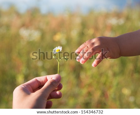 Close up of womans hand giving little white flower to child