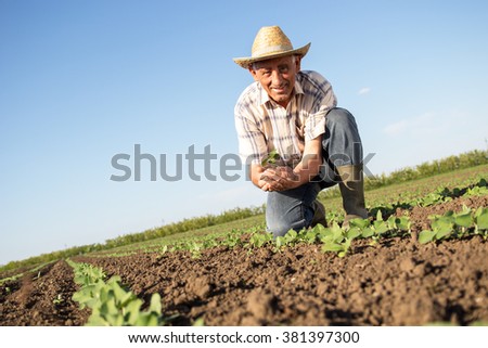 Senior farmer in a field holding crop in nis hands