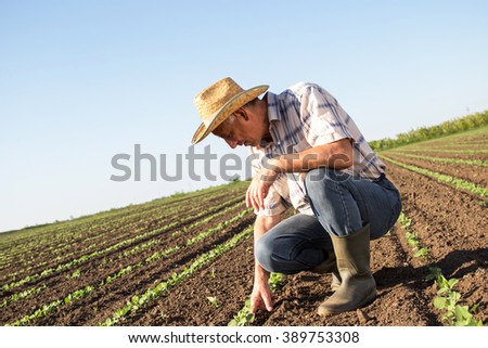 Senior farmer in a field examining crop, focus on hand.