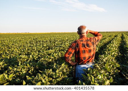 Senior farmer in a field looking into the distance.