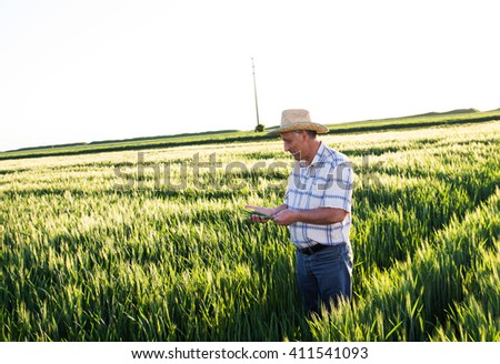 Senior farmer in a field examining wheat crop.