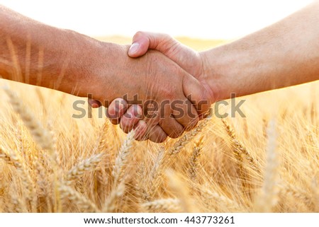 Farmers handshake over the wheat corp, close up.