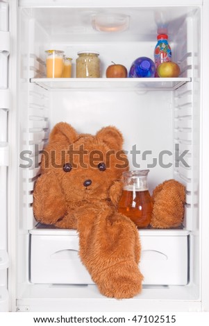 teddy bear in the refrigerator