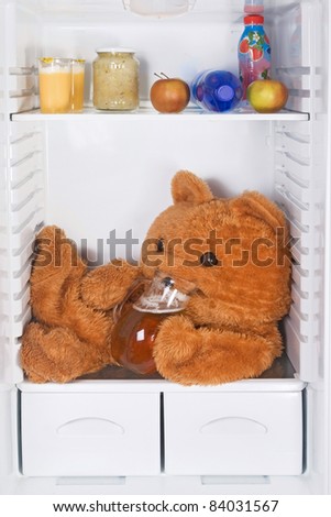 Resting teddy bear in the refrigerator
