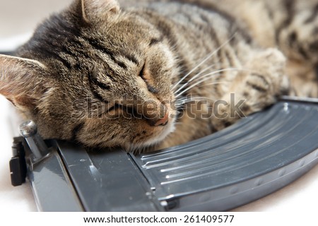 cat sleeping on a sub machine gun