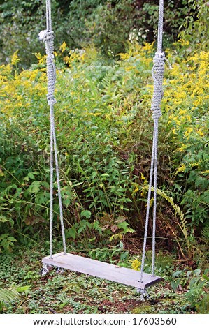 rope swing in a garden
