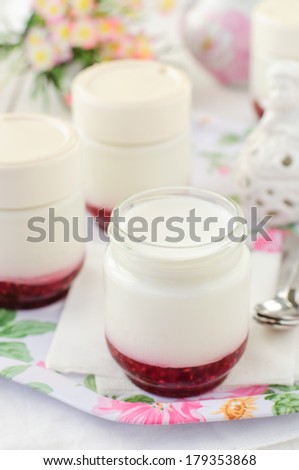 Natural Yoghurt with Raspberry Jam, copy space for your text
