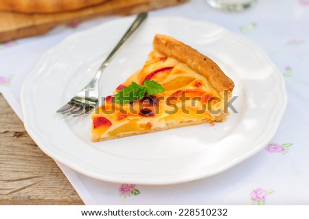 A Slice of Peach and Sour Cream Custard Pie, copy space for your text