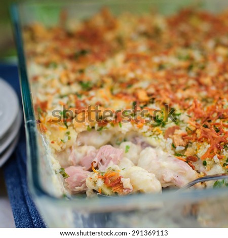 Tuna, Leek, Mornay and Orange Pasta Bake with Bread Crumb and Cheese Topping (Macaroni and Cheese), square