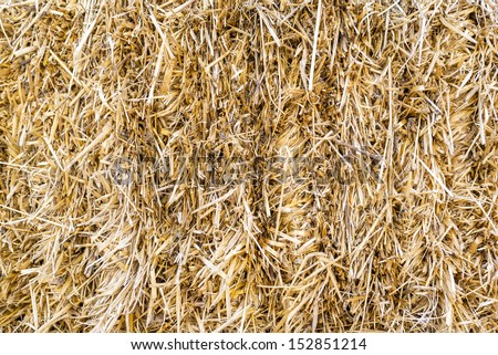 Closeup of a square hay bale.