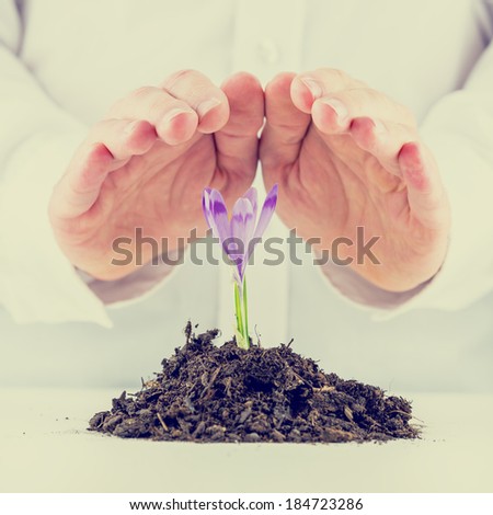 Retro image of man protecting purple sprouting spring freesia cupping his hands over the delicate flower and mound of rich organic earth in a conservation of the environment and ecology concept.