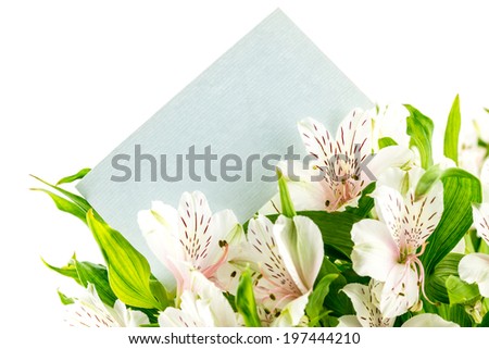 Close up of a bunch of beautiful fresh white tiger lilies with a blank blue card inserted in the top for your romantic message or greeting, isolated on white.