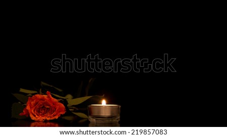 Single romantic orange rose lying on a dark reflective surface with a burning candle against a black background with plenty of copyspace for your Valentines or Anniversary message to a loved one.