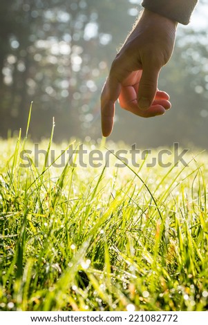 Hand of a man reaching down with his finger to gently touch fresh green grass backlit by the sun in a country meadow in a conceptual image.