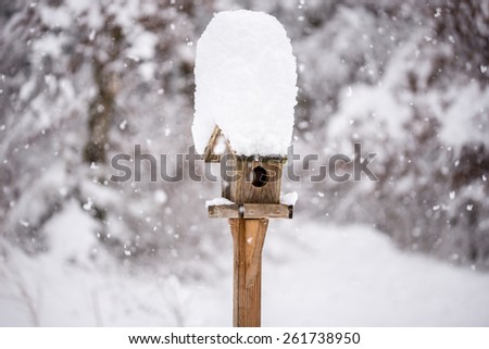 Wooden bird feeder with a tall cap of snow standing in a winter garden with snow-covered trees and falling snowflakes in a winter season or weather concept.