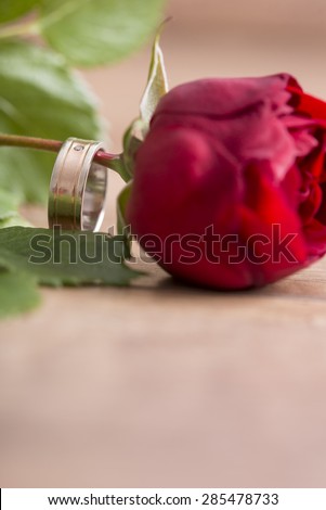 Romantic wedding band on a single fresh red rose symbolic of love with focus to the ring and copyspace in the foreground.