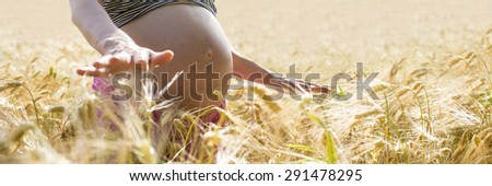 Pregnant woman standing in a field of ripe golden wheat holding her hands above the ears with the glow of the sunlight on her bare swollen belly.