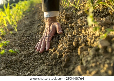 Senior man\'s hand with suit and shirt sleeve reaching down touch clay of the earth with hand out flat, green shoots visible in warm sunlight.