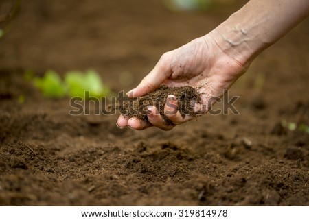 Close up of the hand of a woman holding a handful of rich fertile soil that has been newly dug over or tilled in a concept of conservation of nature and agriculture or gardening.