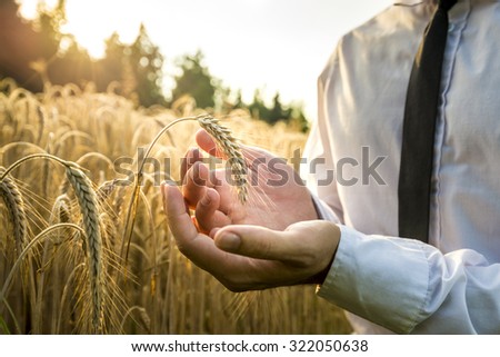 Business man cupping a ripe ear of wheat in a conceptual image for business inspiration vision or success.