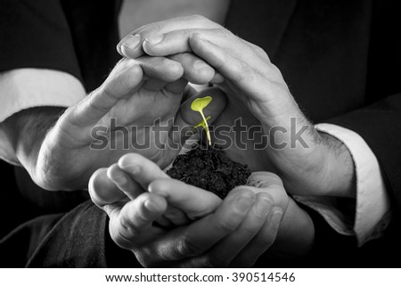 Female hands holding fertile soil from which a green sprout is growing and male hands making protective gesture above it. Conceptual of protection, teamwork and business start up.