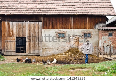 Countryside yard. Rustic barn and yard with chickens and a scarecrow.