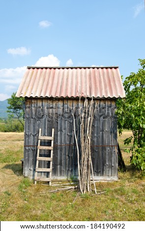 Old shed in a garden. Tiny house with a ladder and some wood sticks leaning on it.